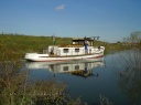sany0968